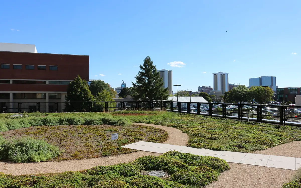 Planted green roof with gravel paths overlooking a city skyline